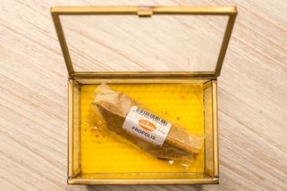 Blahodárné účinky propolisu - Médium.cz